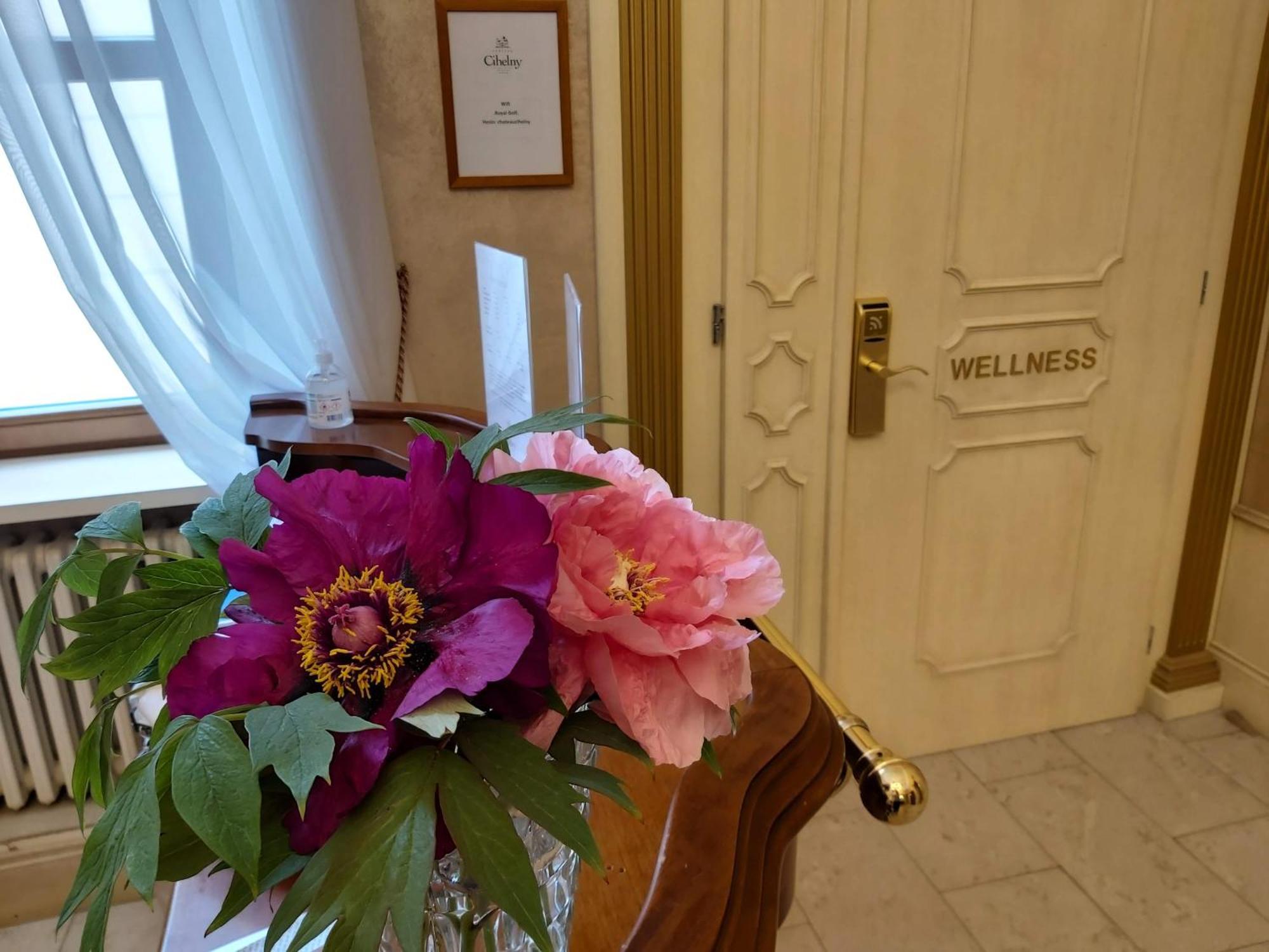 Pension U Golfu Cihelny Karlsbad Exteriör bild